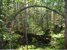 � ����.JPG