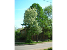 �������� ��������� ����.JPG