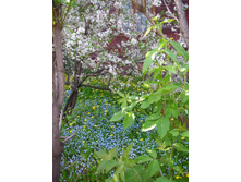 ��������� ����� 2.JPG