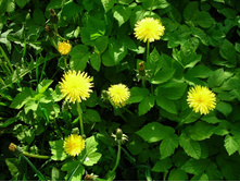 ��������� �����.JPG