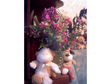 ���� ��������.jpg