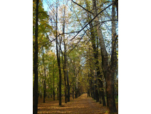 ������� � �����.JPG