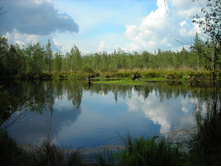 ������ ������.JPG