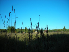 ������� �����.JPG