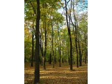 ����� � ����� 2.JPG