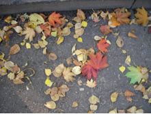 ����� �� ��������.JPG