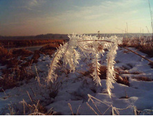 ������ ���� ��.jpg