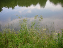 � ����.JPG