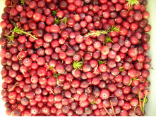 ������ ������.JPG