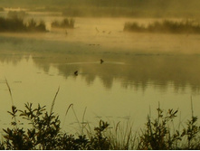 ���� �� ����� 2.JPG