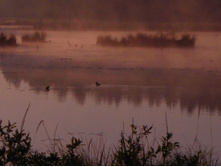 ���� �� �����1.JPG