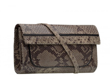  ������: EPIC ���.: K00565 (python) 