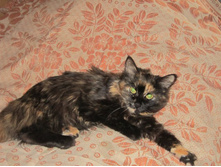 ���� 028.JPG