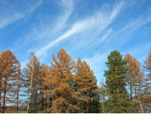 �.����, �������