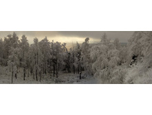 ����������, �.����