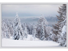 �.����, �������