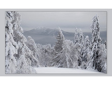 �.����, �������