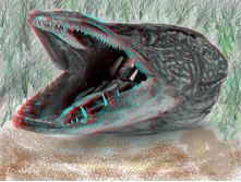 ���� 3D!.jpg