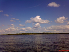 ����� 08.07.09.JPG