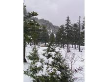 �.����, �������