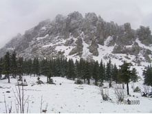 �.����, �������, ���������