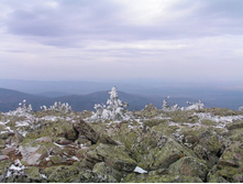 �.����, �������, ��������