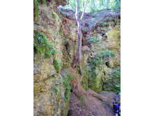 �� ���, ������