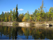 �� ���, ���