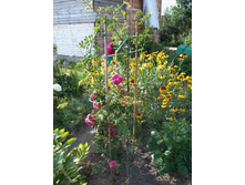 ���� � ��������