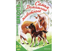 51,06�. 978-5-9715-0409-2 38043