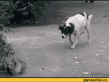 �������!