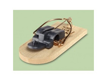 ��**���**���� Su**perC**at � �������� ������������