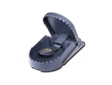 ������**���� Sw**issinno Sup**erCat, ����������� �������