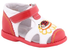 2433, �����, �������.jpg