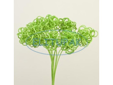 �109 ����-�������� �� ������� �� ���� ��.������� (10) 130.00 ���