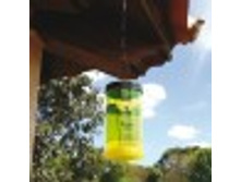 ��**���**�� ��� �*�