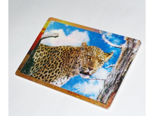 �2095_���� ���������� �������_108 ���+%