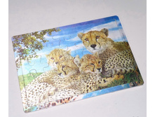 �2100_���� ���������� ��������� ���������_108 ���+%