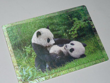 �2104_���� ���������� ������� �����_108 ���+%