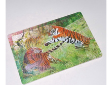 �2084_���� ���������� �����_69 ���