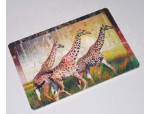 �2085_���� ���������� ������_77 ���+%