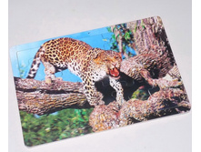 �2086_���� ���������� �������_77 ���+%