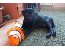 ���� ������� ����.JPG