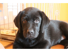 ԣ�� ������.JPG