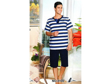 8100. 650 ���..jpg