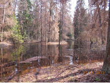 DSCN2289.JPG