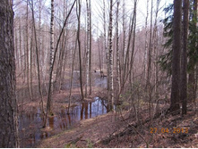 DSCN2294.JPG