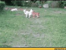 �� ������!