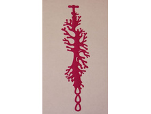 Coral �������.������