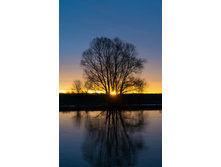 ������ �����.jpg